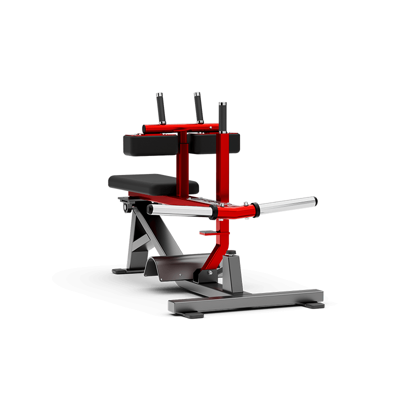 Seated Calf Raise